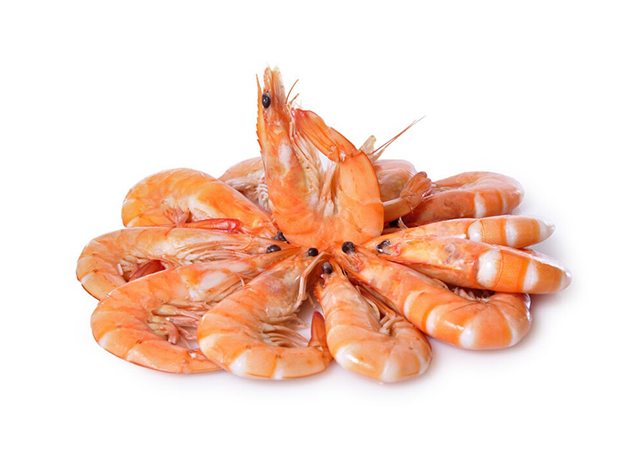 Langostino