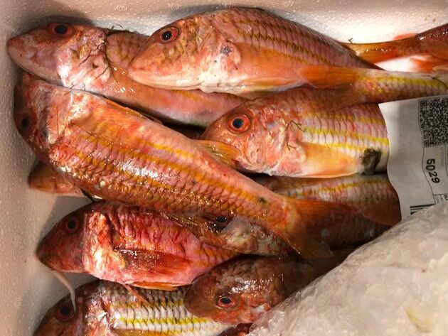 Pesconil-Pescados-Salmonetes