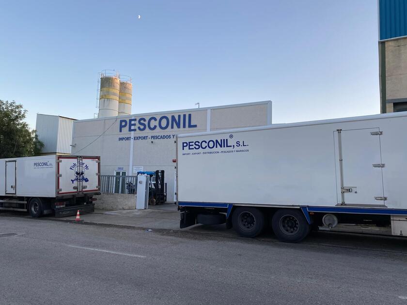 pesconil-distribuciones1