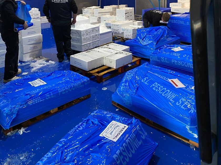 pesconil-instalaciones2